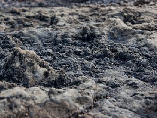 <b>當下主流油泥處理方法</b>